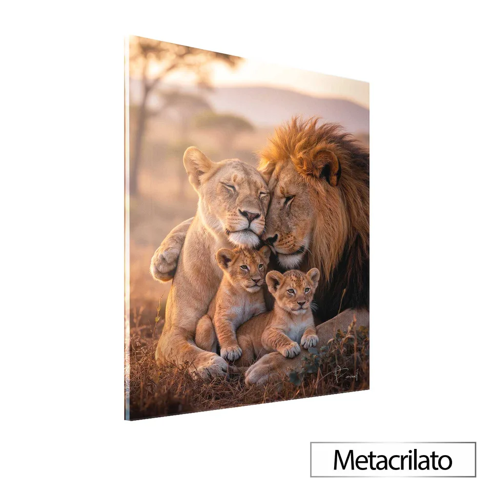 Quadro União Selvagem com acabamento em metacrilato