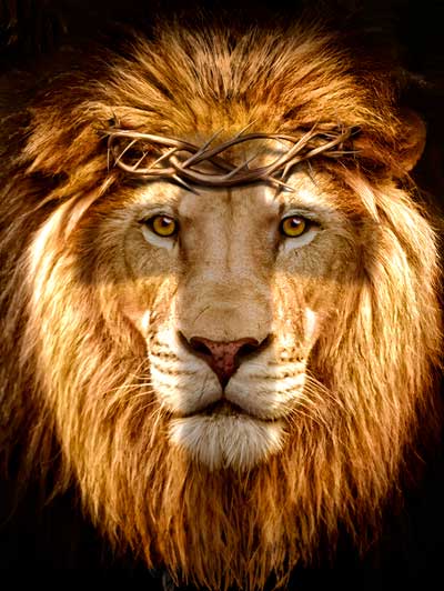 Quadro Leão de Judá