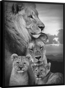 Quadro Família de Leões