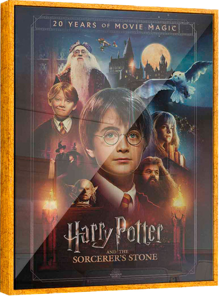 Quadro Harry Potter Oficial - 20 Anos
