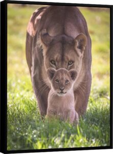 Quadro Leão Amor Materno