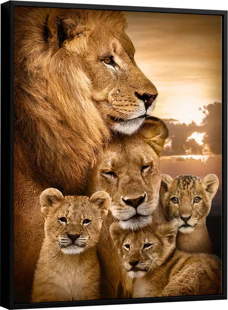 Quadro decorativo família de leões com 3 filhotes
