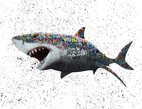 Quadro Tubarão Grafite CRAIG