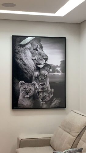 Quadro Família de Leões photo review