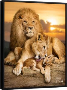 Quadro Família de Leões - O Primogênito