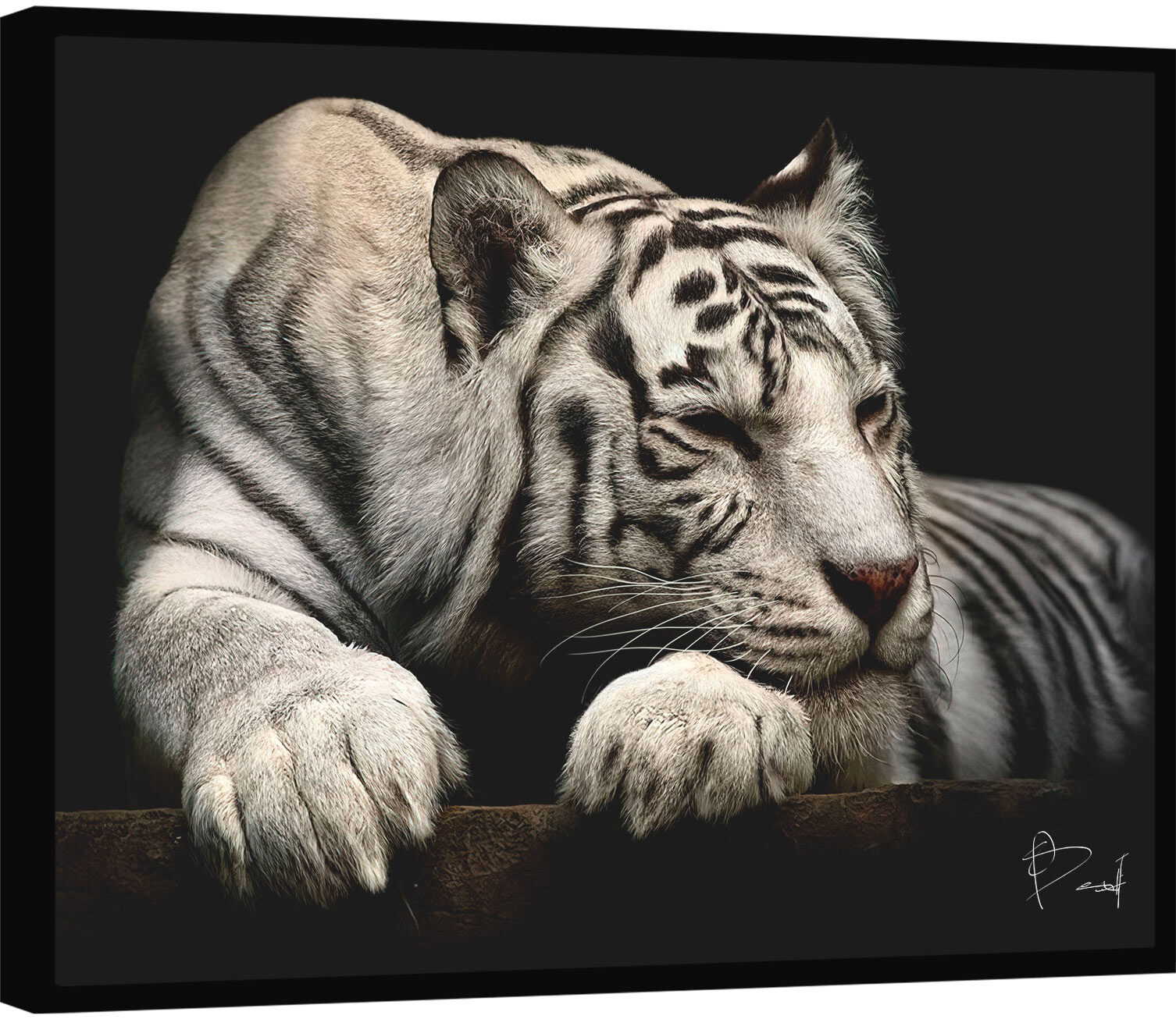 Quadro Decorativo Canvas Animal Selvagem Tigre Por do Sol