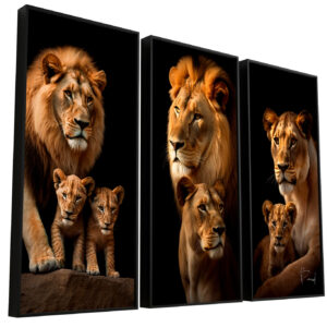 Quadro Retratos da Família de Leões - 3 Filhotes 3 Peças