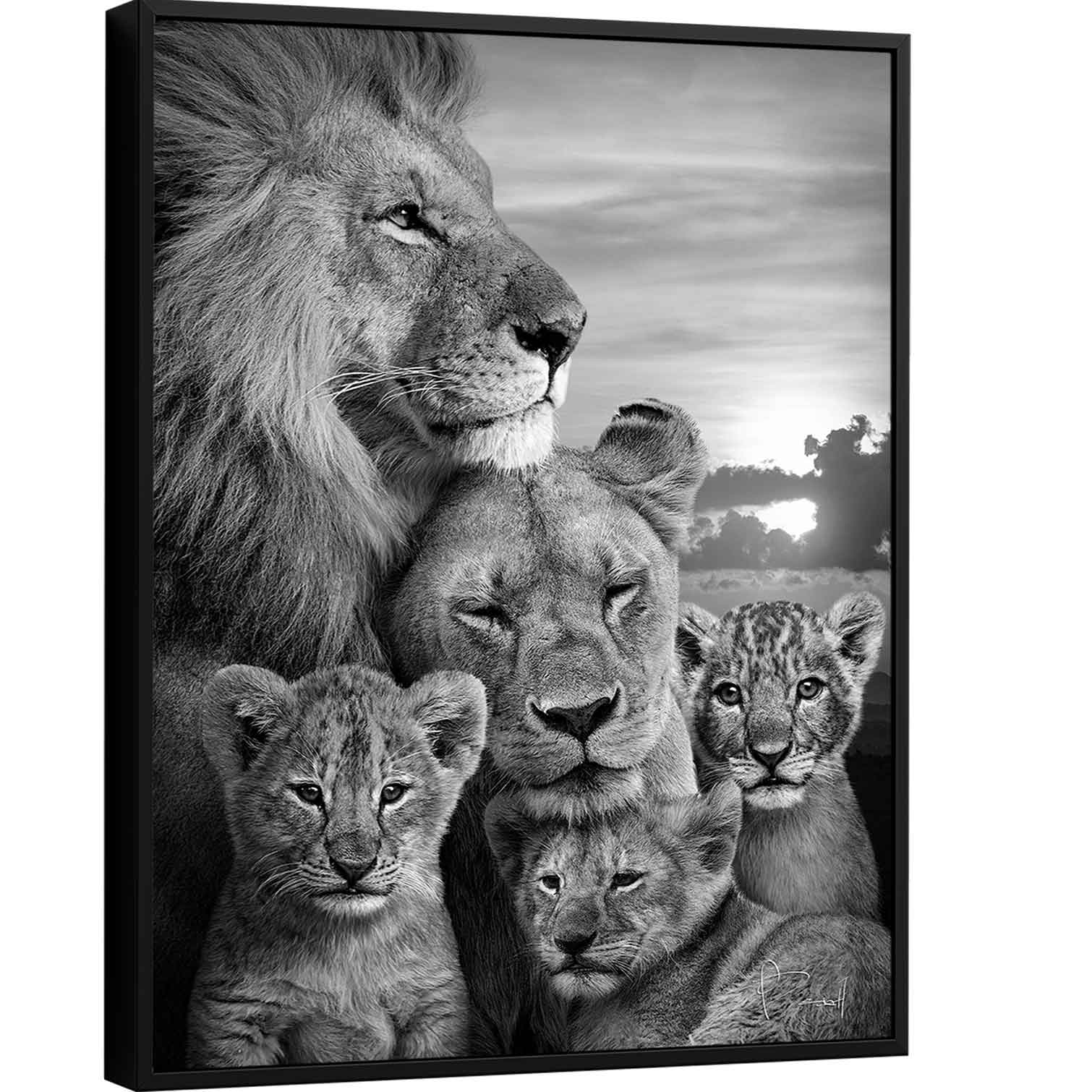 Quadro Família de Leões 3 filhotes Preto e Branco